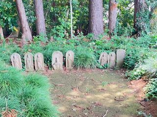 IMG_3621.jpg