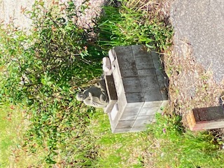 IMG_3622.jpg