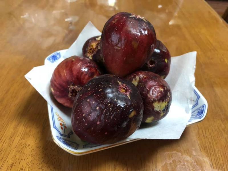 今が旬 いちじく 日々徒然 友人に 兵庫県川西市特産の いちじく をおすそ分けいただいた 岡本のぶじ オカモトノブジ 選挙ドットコム