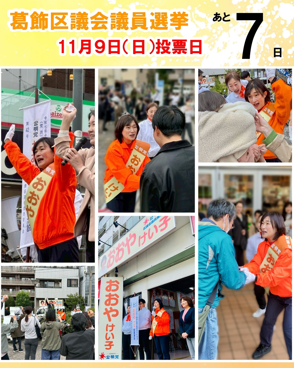 葛飾 区 議会 議員 選挙