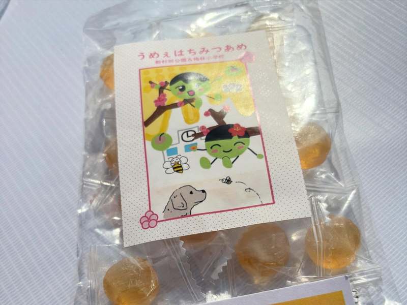 アイキャッチ画像