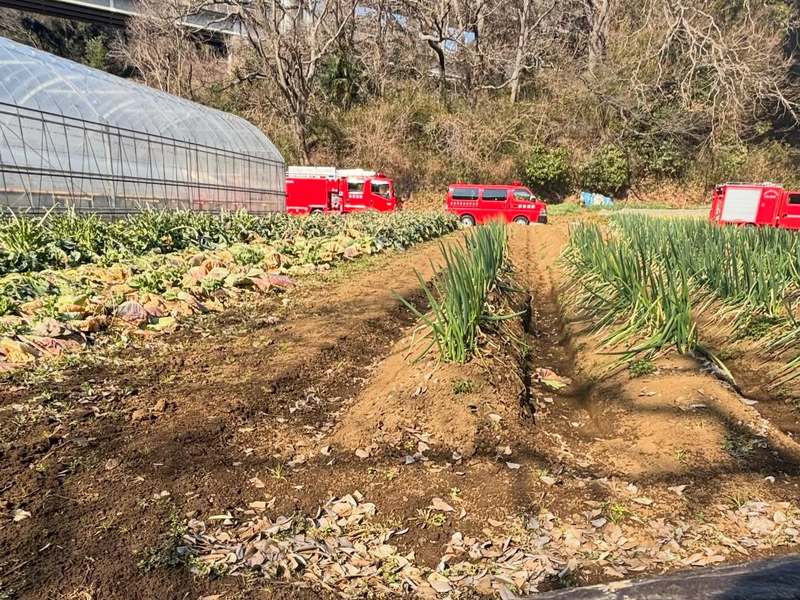 アイキャッチ画像