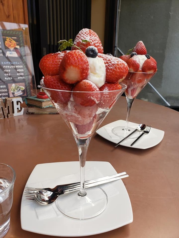 大垣市高級果物専門店 丸忠 のイチゴパフェで次女を労う会 野村美穂 ノムラミホ 選挙ドットコム