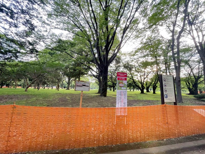 都立代々木公園にライブサイト設置するために樹木を剪定する問題の現状ー意識調査アンケート開始 龍円あいり リュウエンアイリ 選挙ドットコム