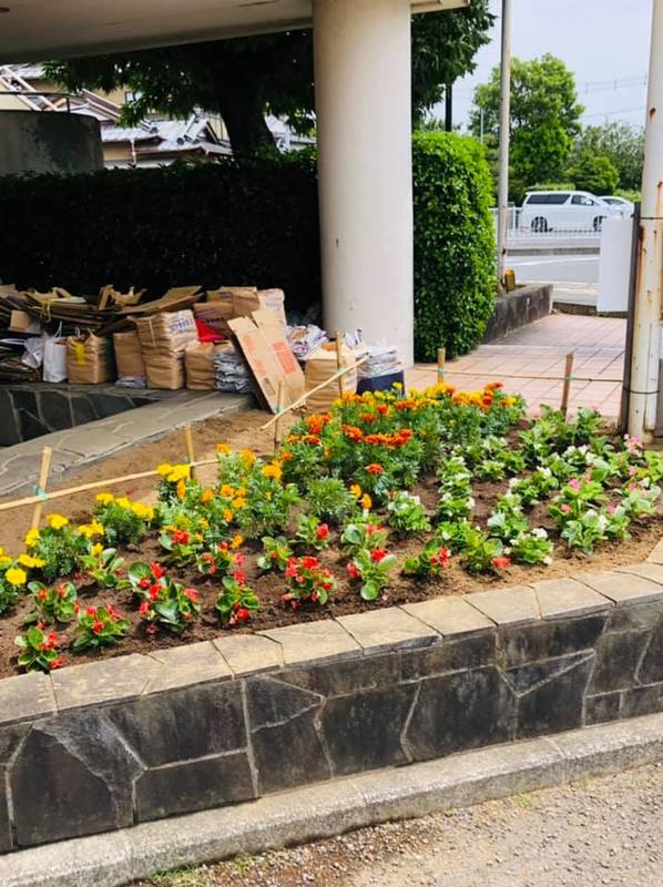 自治会内の花壇 花植え替え完了 牛島自治会環境美化部の活動です 武井正広 タケイマサヒロ 選挙ドットコム