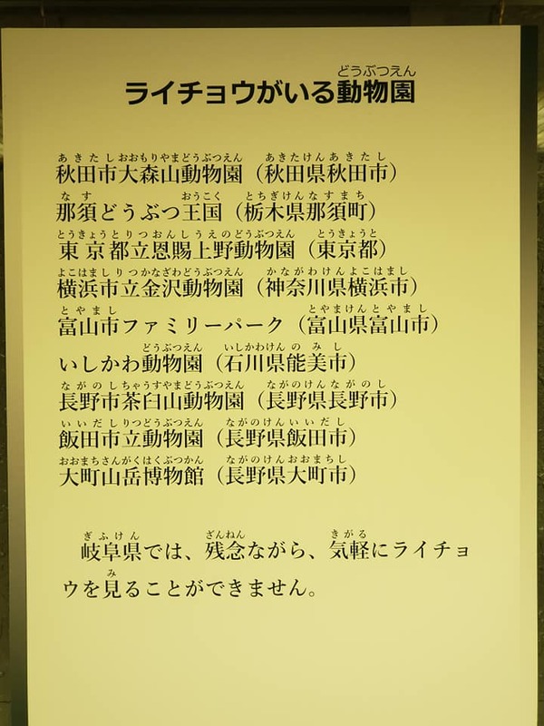 岐阜県の鳥はライチョウ 雷鳥 足がもふもふで可愛い 野村美穂 ノムラミホ 選挙ドットコム