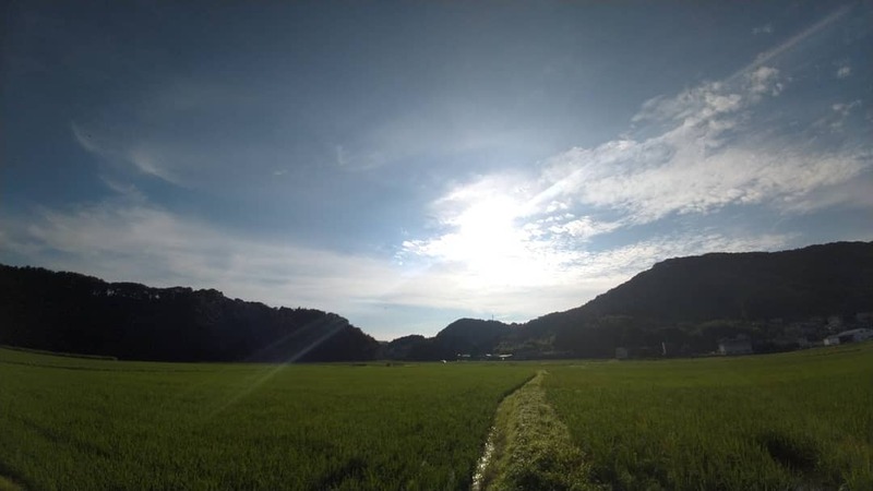 おはようございます ひじ英治 ヒジエイジ 選挙ドットコム