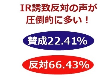 横浜市長選挙の争点 決定プロセスの問題 林文子横浜市長の だまし討ち Irカジノの真実4 中谷一馬 ナカタニカズマ 選挙ドットコム