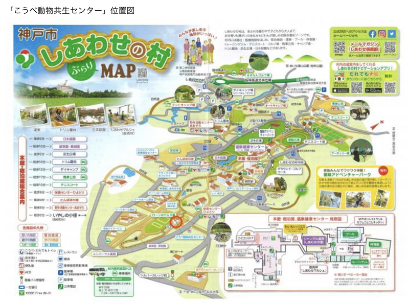 しあわせの村 こうべ動物共生センター わんにゃん譲渡見学会の開始 9月日から やのこうじ ヤノコウジ 選挙ドットコム