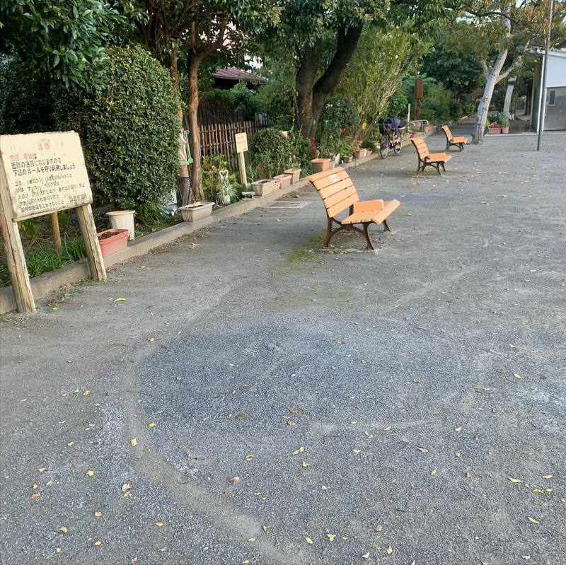 10 29すがすがしい朝 高木信明 タカギノブアキ 選挙ドットコム