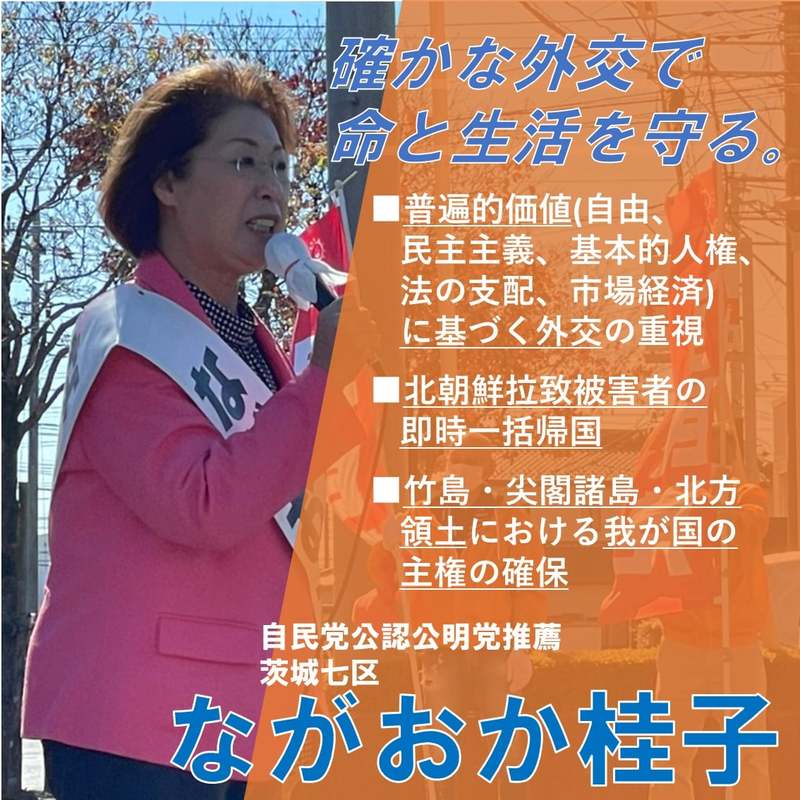 茨城七区ながおか桂子 ながおか桂子のビジョンその３ 確かな外交で命と生活を守る ながおか桂子 ナガオカケイコ 選挙ドットコム