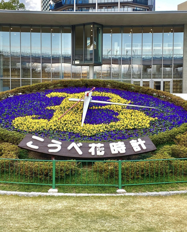 神戸市 東遊園地南側 こうべ花時計前 に こども本の森 神戸 オープン 名誉館長は竹下景子さんに やのこうじ ヤノコウジ 選挙ドットコム