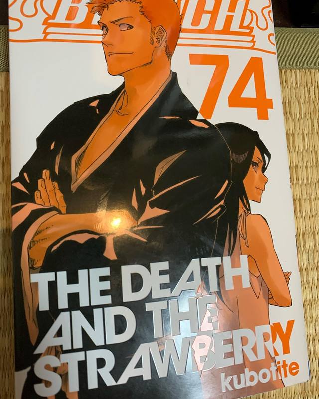夫が愛読していて 完結に間に合わず他界した漫画 Bleach 高口陽子 コウグチヨウコ 選挙ドットコム