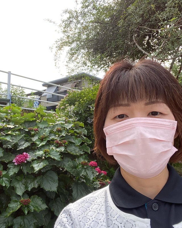 児島に行った帰り道 倉敷市児島の稗田南交差点近くにある あじさいの壁 に行ってみました 小郷ひな子 オゴウヒナコ 選挙ドットコム