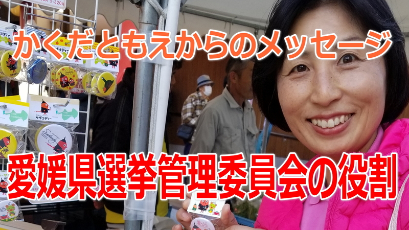愛媛県議会議員選挙19に立候補 愛媛県選挙管理委員会の役割 統一地方選 松山の選挙 いしいともえ イシイトモエ 選挙ドットコム