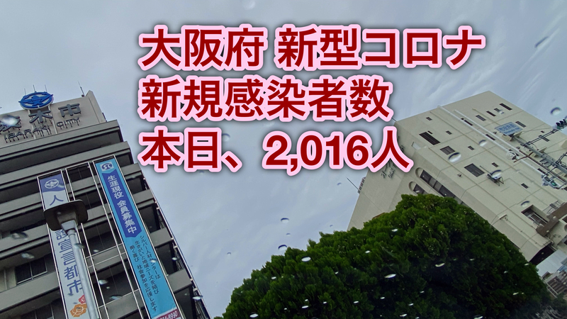 茨木市議会議員 新型コロナ大阪府新規陽性者 2 016人 松本やすのり マツモトヤスノリ 選挙ドットコム