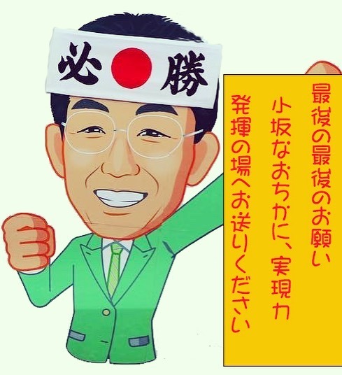 小坂なおちか最後の最後のお願い只今 関宿まちなみにて 小坂なおちか コサカナオチカ 選挙ドットコム