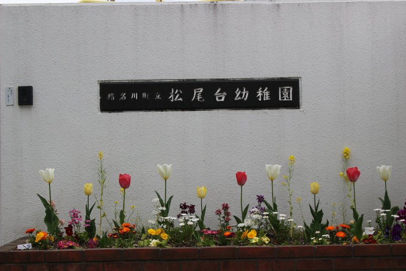 桜の花が残る中 松尾台幼稚園で入園式 １２日猪名川町立松尾台幼稚園で 入園式があった 岡本のぶじ オカモトノブジ 選挙ドットコム